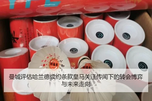 曼城评估哈兰德续约条款皇马关注传闻下的转会博弈与未来走向